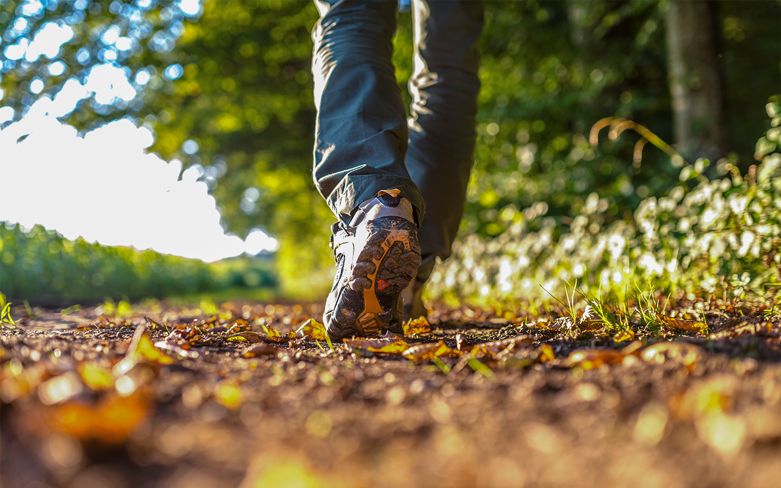 Walking to Alton Towers