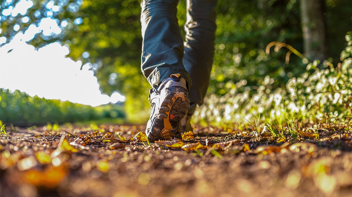 Walking to Alton Towers