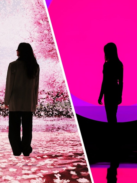 Visitor at Mercer Labs: Museum Of Art & Technology and Arte Museum New York, viewing digital cherry blossoms and neon art.