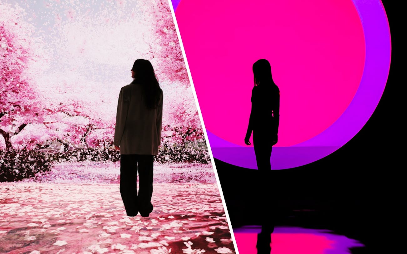 Visitor at Mercer Labs: Museum Of Art & Technology and Arte Museum New York, viewing digital cherry blossoms and neon art.