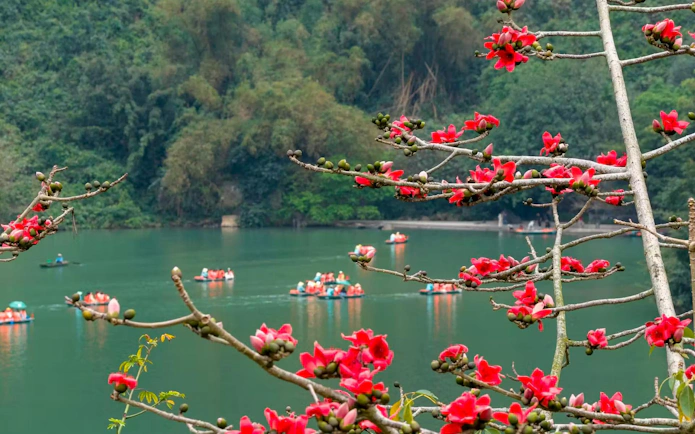 Boats on the river at Trang An Landscape Complex with red flowers in the foreground.