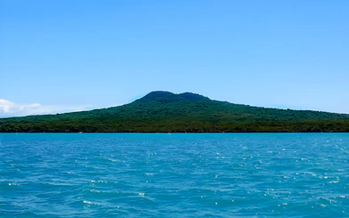Harbour view with lush green island, perfect for a scenic wine and cheese cruise.