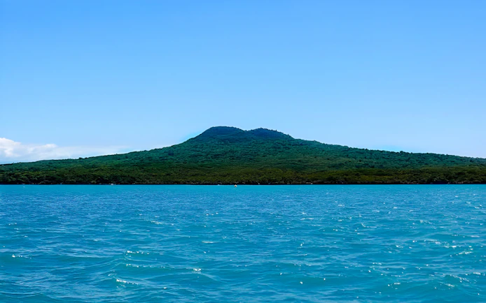 Harbour view with lush green island, perfect for a scenic wine and cheese cruise.