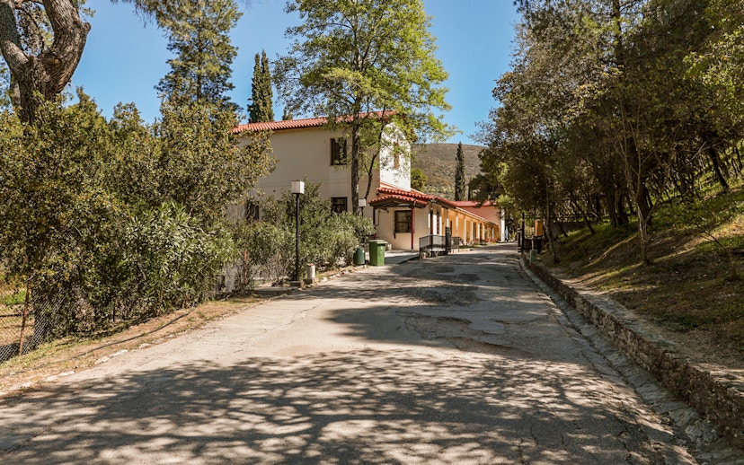 Pathway leading to Epidaurus Ancient Theatre Museum surrounded by trees.