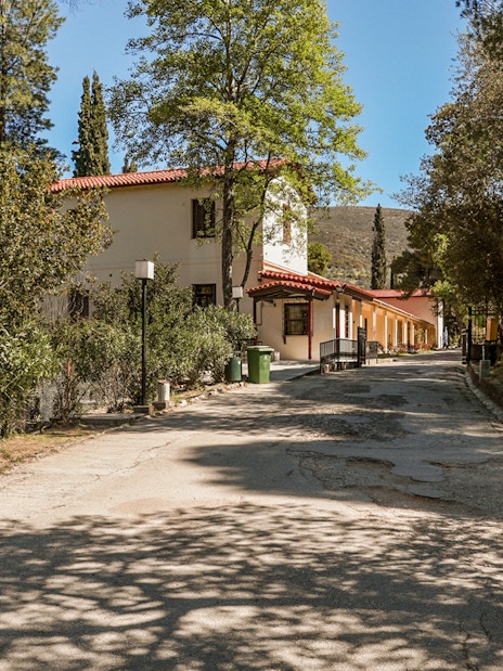 Pathway leading to Epidaurus Ancient Theatre Museum surrounded by trees.