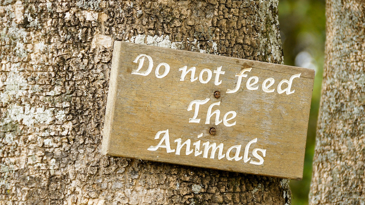 San Diego Zoo Rules and regulations