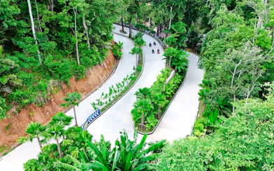 Aerial view of winding Hanuman Luge track surrounded by lush greenery.