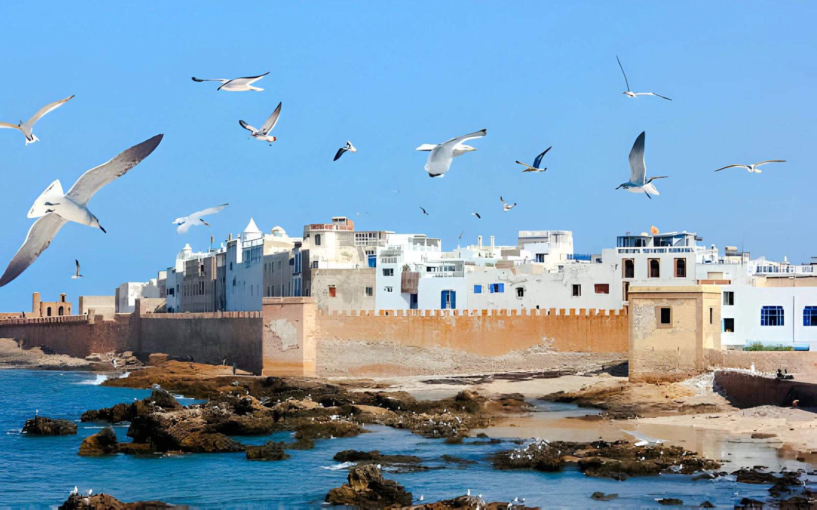 From Marrakech: Private Essaouira Day Trip with Hotel Transfers Image 2