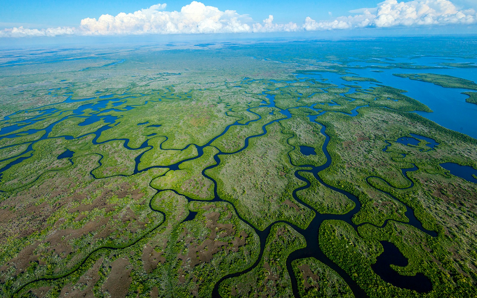 Aerial view of winding waterways in the Everglades for a private airboat tour.