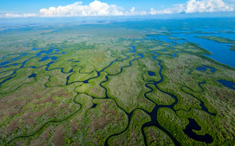 Aerial view of winding waterways in the Everglades for a private airboat tour.