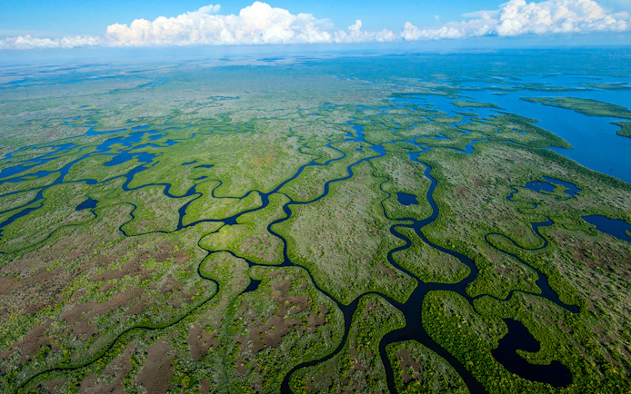 Aerial view of winding waterways in the Everglades for a private airboat tour.