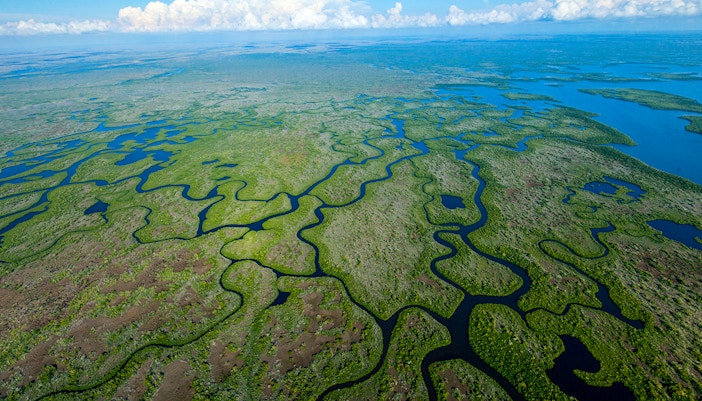 Aerial view of winding waterways in the Everglades for a private airboat tour.