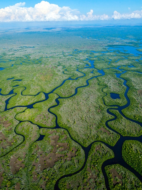 Aerial view of winding waterways in the Everglades for a private airboat tour.
