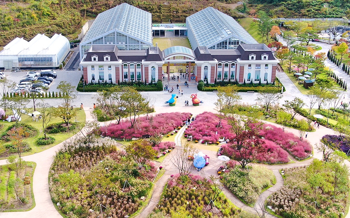 Aerial view of Gapyeong Begonia Bird Park with glass buildings and pink muhly grass gardens.