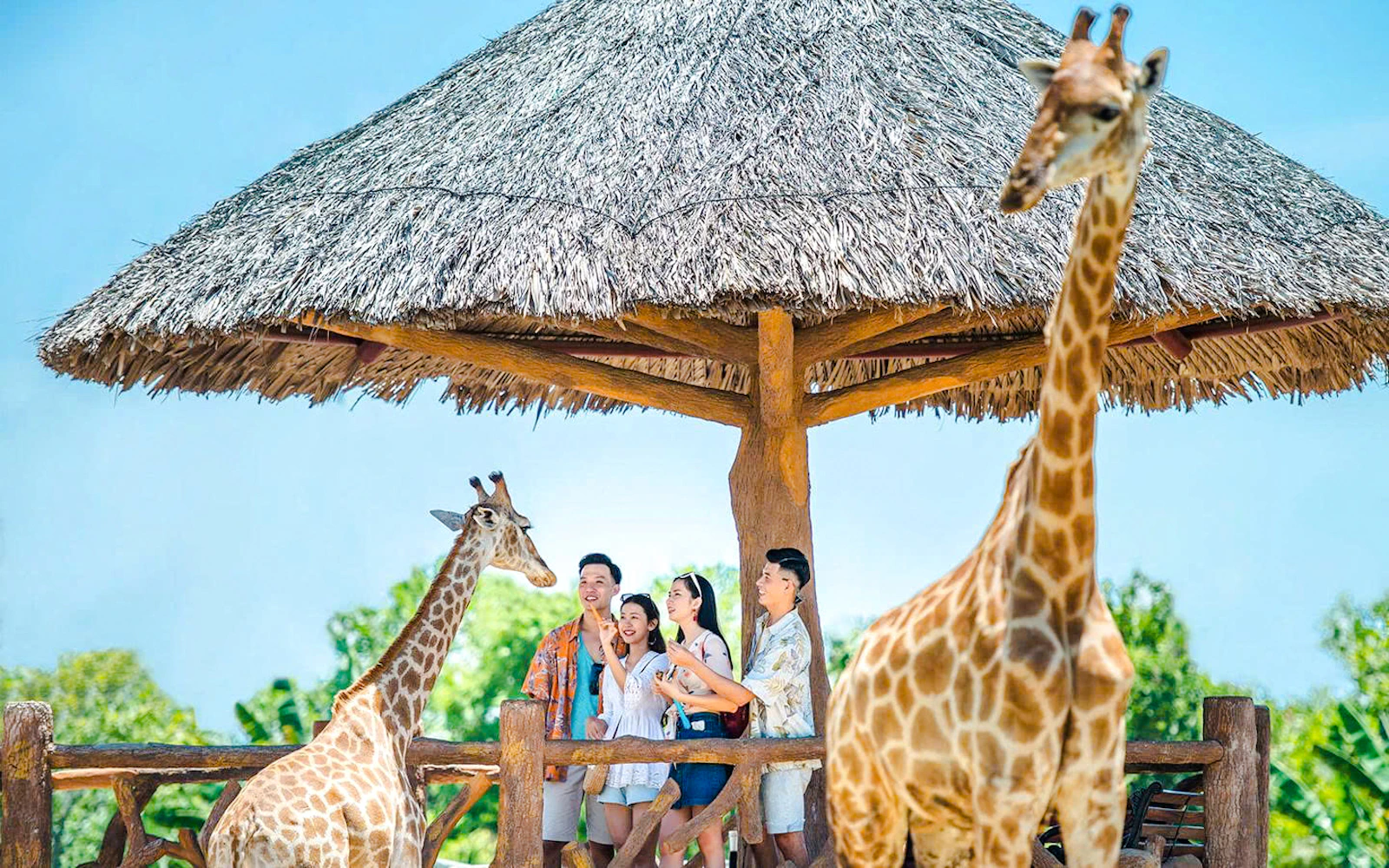 VinWonders Nam Hoi An Tickets Image 2
