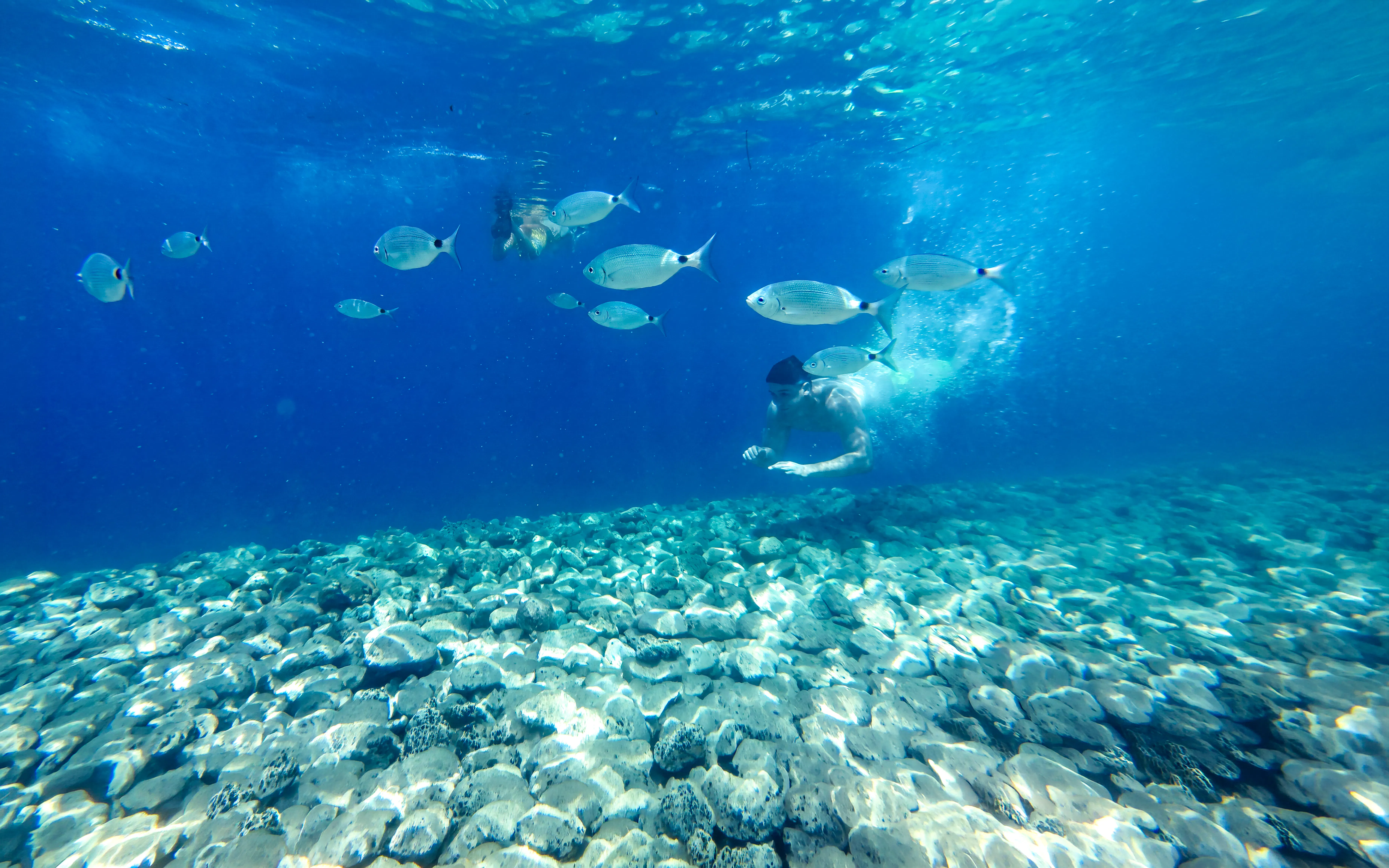 Parco Nazionale dell'Arcipelago di Brijuni