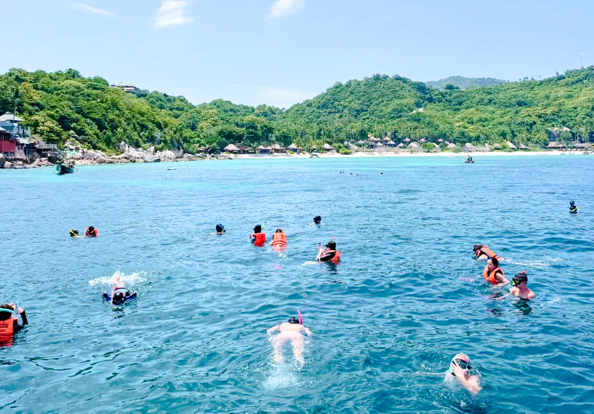 Snorkelers in the clear waters of Ang Thong Marine Park, Koh Samui, with lush islands in the background.