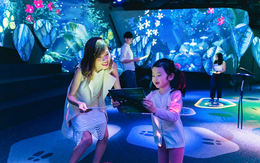 Interactive experience at Garden of Harmony, Changi Experience Studio, with digital displays.