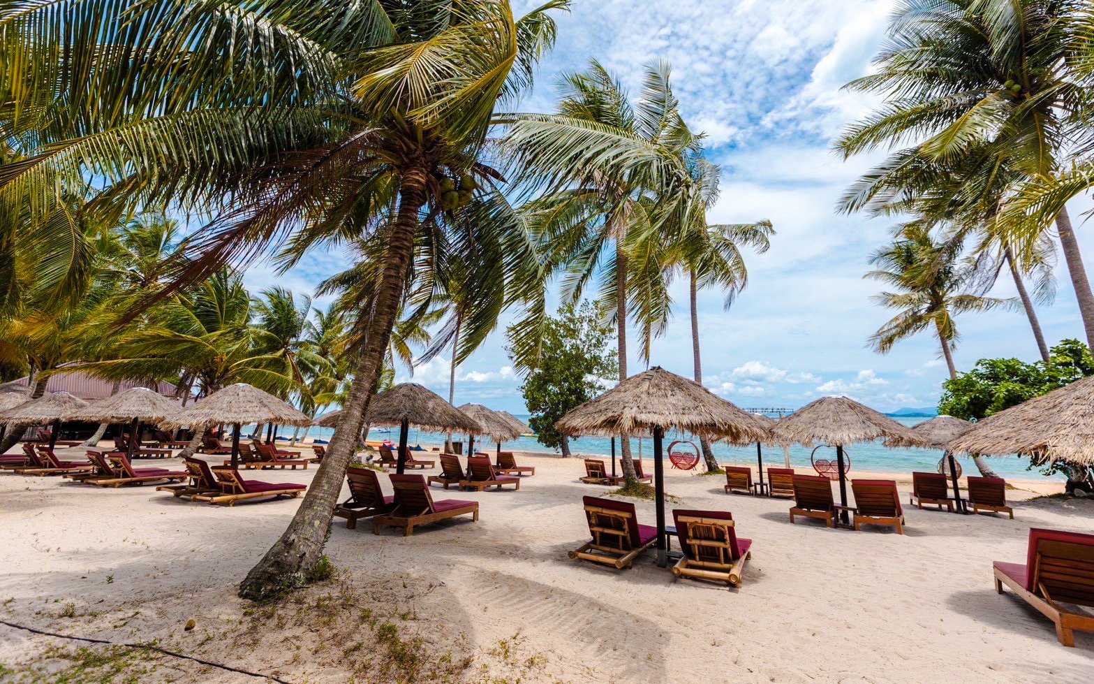 Sandy beach with palm trees and sun loungers at Phang Nga Bay, Thailand.