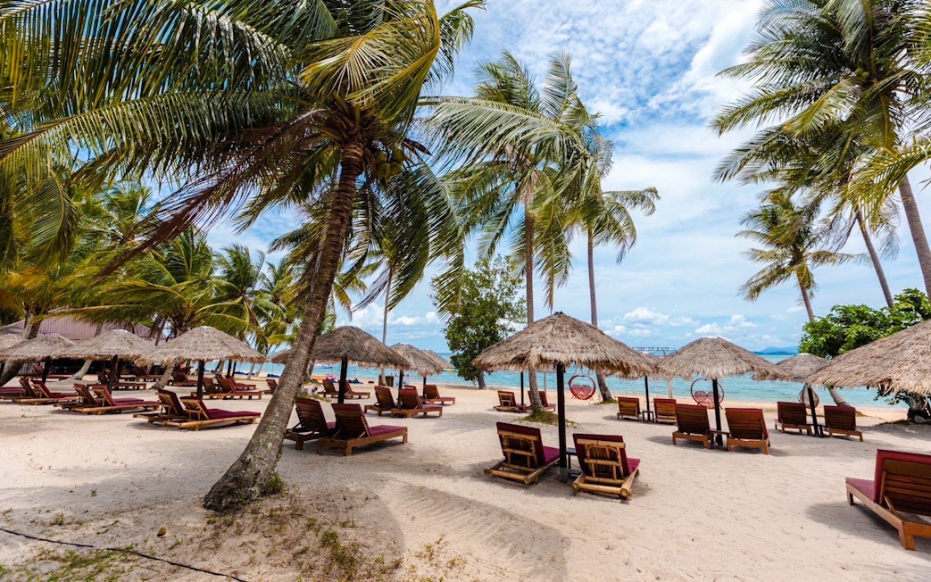 Sandy beach with palm trees and sun loungers at Phang Nga Bay, Thailand.