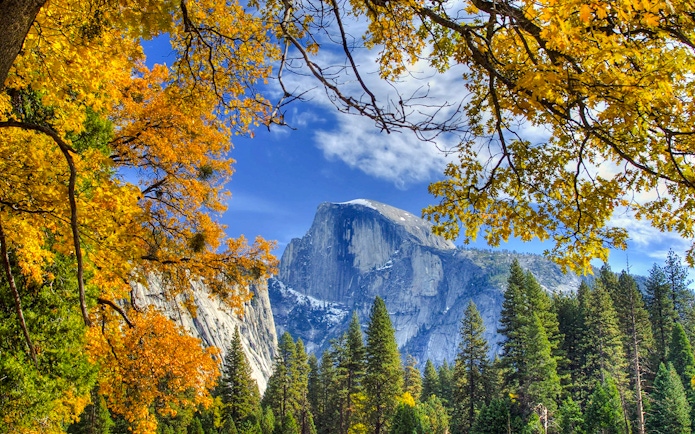 Half Dome framed by autumn trees in Yosemite National Park.