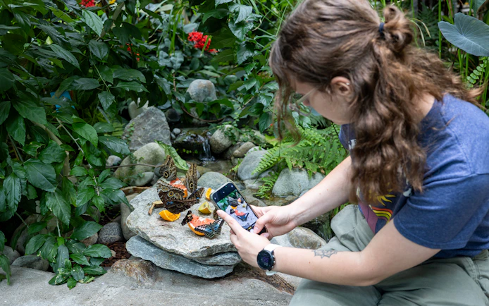 Woman photographing butterflies at Pacific Science Center, Seattle.