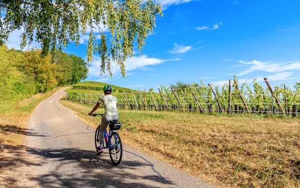 Cyclist on e-bike riding through Chianti vineyards on guided tour.