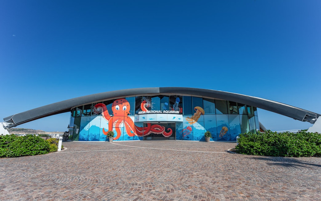 Entrance of Malta National Aquarium with octopus mural on glass facade.