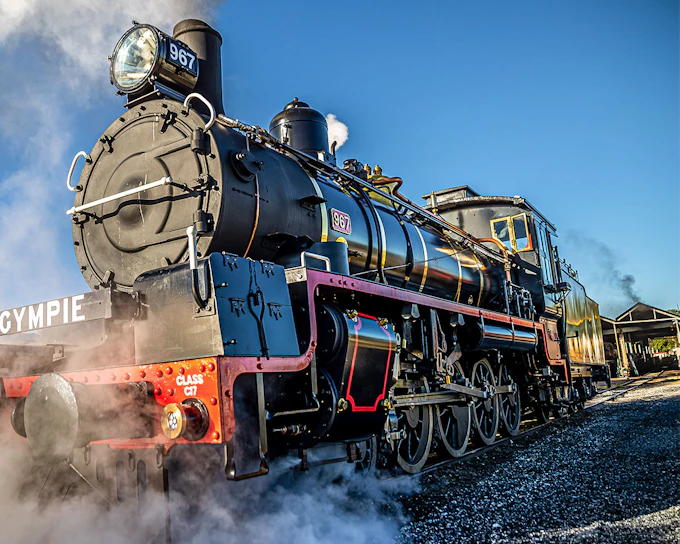 Mary Valley Rattler Train Experience from Gympie