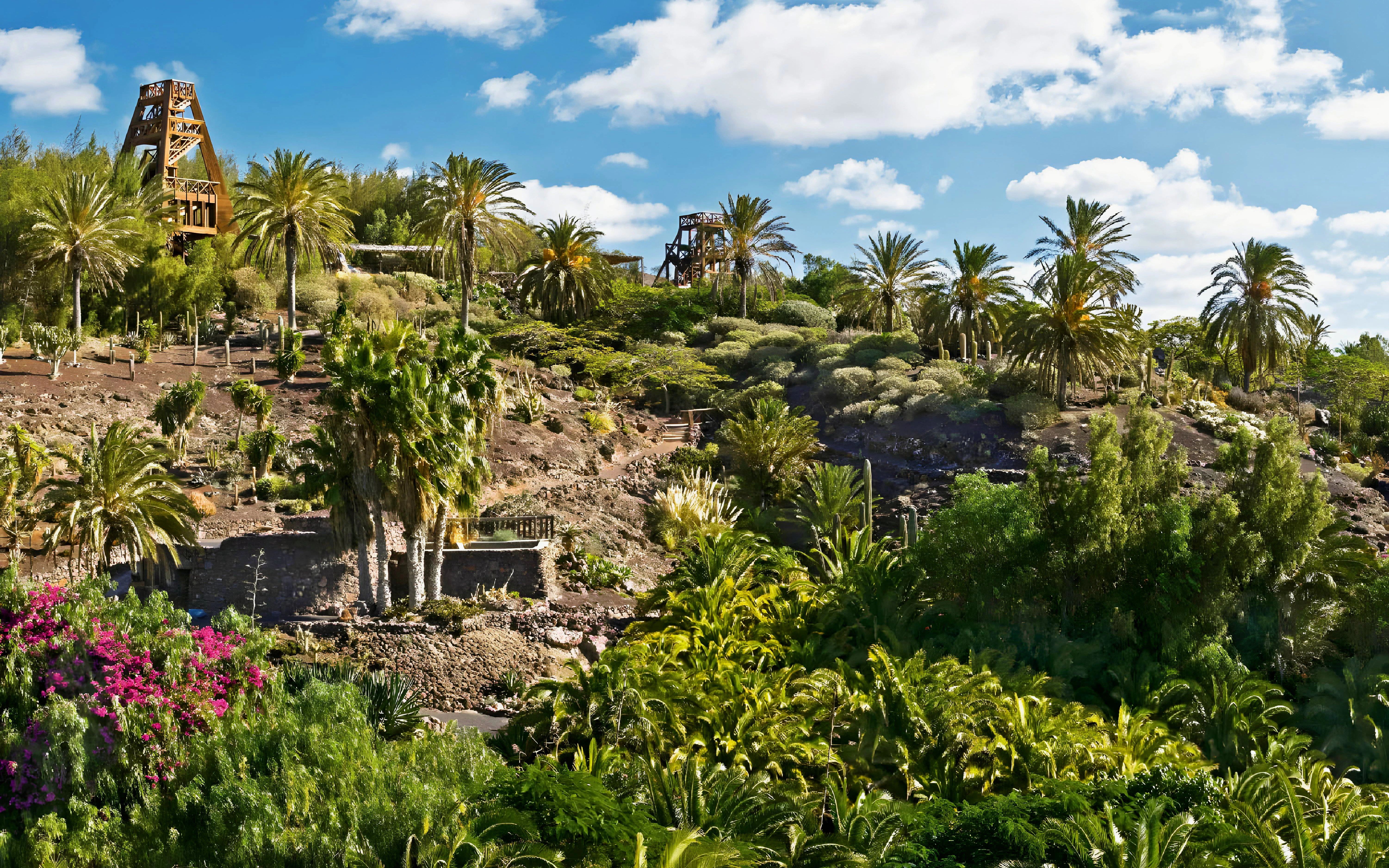 Lush greenery and palm trees at Oasis Wildlife park.