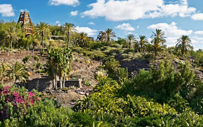 Lush greenery and palm trees at Oasis Wildlife park.