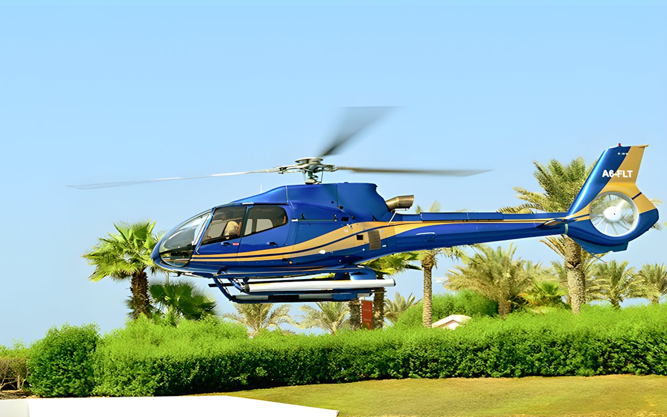 Helicopter flying over palm trees in Abu Dhabi.