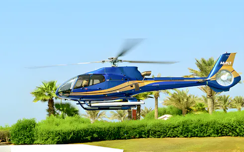Helicopter flying over palm trees in Abu Dhabi.