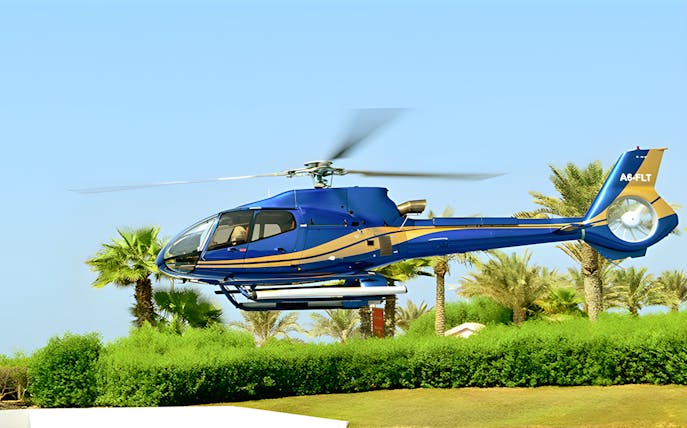 Helicopter flying over palm trees in Abu Dhabi.