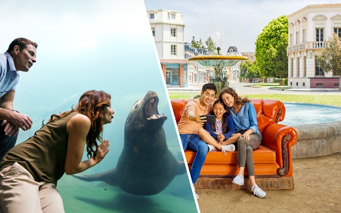 Visitors at Aquarium of the Pacific with sea lion; family taking selfie at Warner Bros Studio Tour Hollywood.
