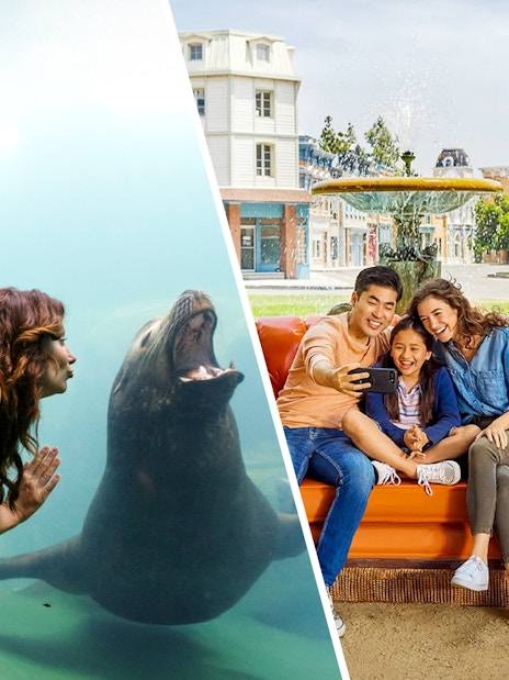 Visitors at Aquarium of the Pacific with sea lion; family taking selfie at Warner Bros Studio Tour Hollywood.
