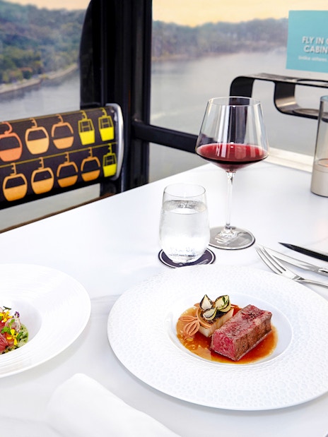 Singapore cable car dining with dishes by Chef Mathew Leong, overlooking cityscape.