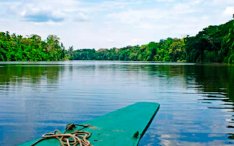 from cusco: 3-day manu national park tour-7