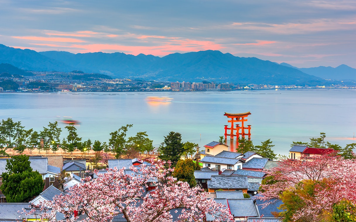 Miyajima Island view with cherry blossoms and Itsukushima Shrine's torii gate, Hiroshima.