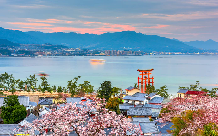 Miyajima Island view with cherry blossoms and Itsukushima Shrine's torii gate, Hiroshima.