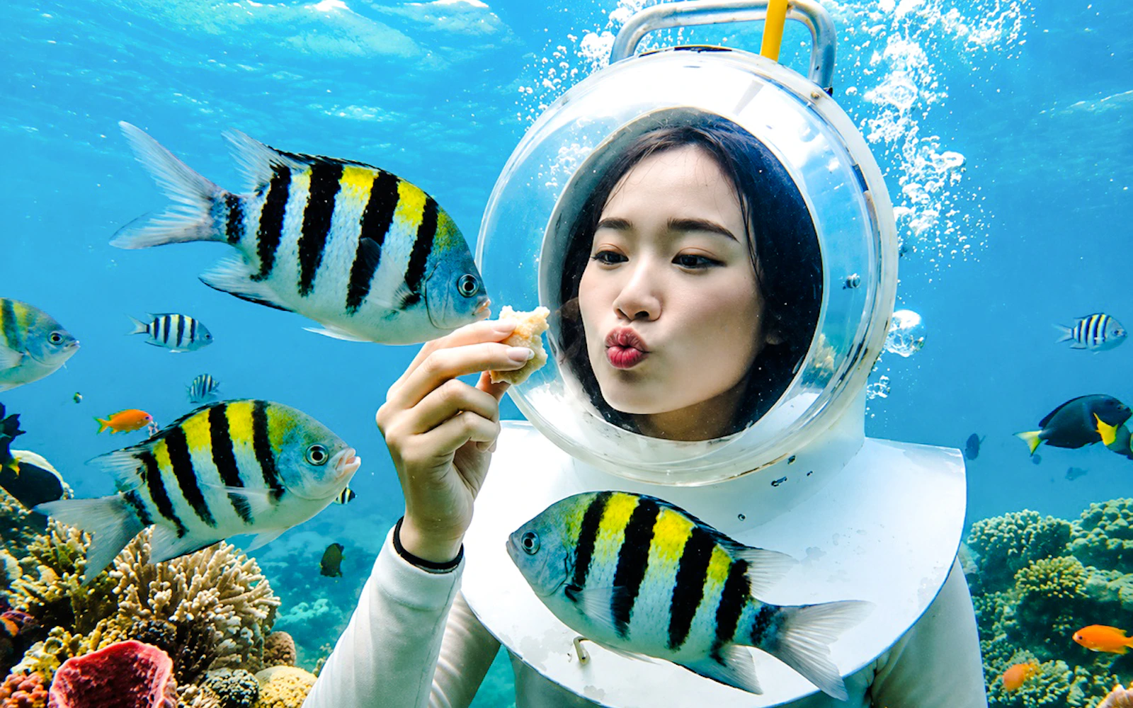 Bali Sea Walker Underwater Walk in Nusa Dua Image 5
