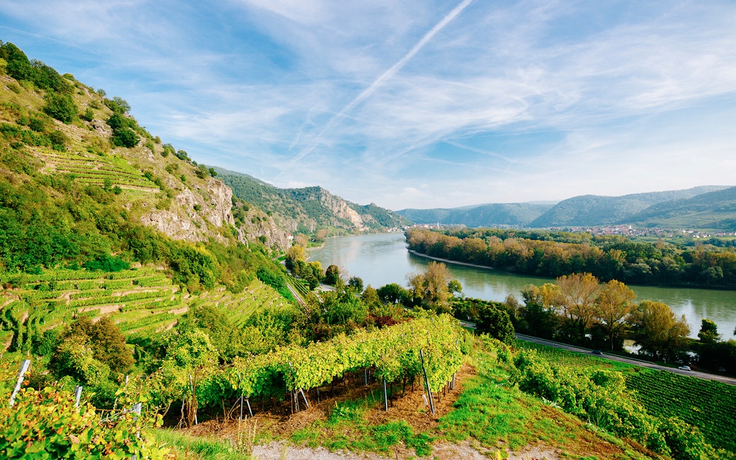 Vineyards overlooking the Danube River in Wachau Valley, Austria, with hills and clear sky.