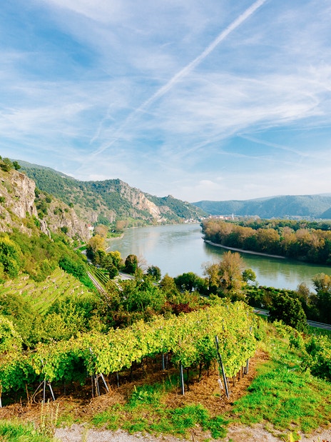 Vineyards overlooking the Danube River in Wachau Valley, Austria, with hills and clear sky.