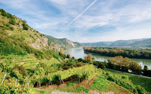 Vineyards overlooking the Danube River in Wachau Valley, Austria, with hills and clear sky.