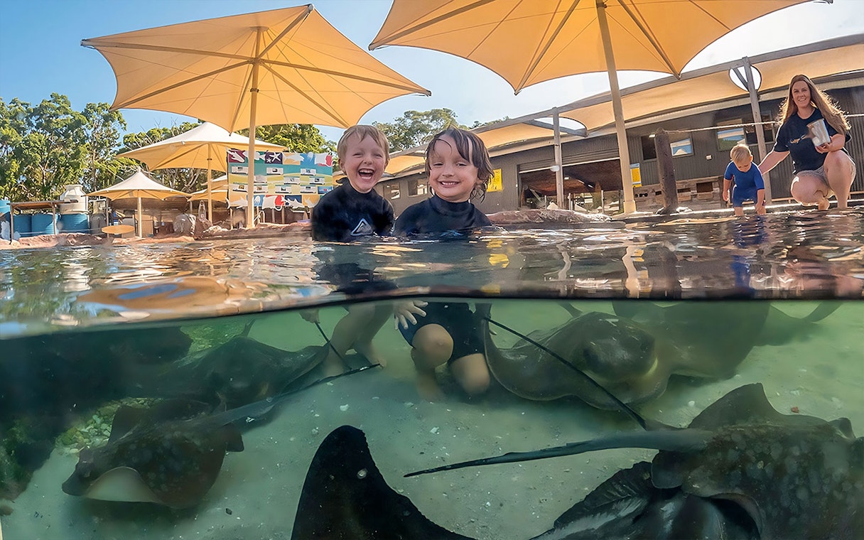 Kids interacting with rays at Irukandji Shark & Ray Encounters, Australia.