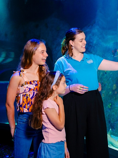 Guide showing visitors a shark at SEA LIFE Melbourne aquarium.