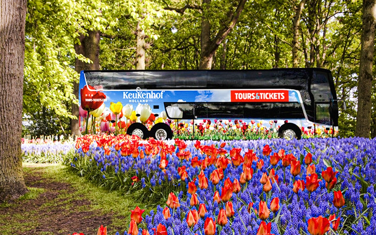 AC coach amidst tulip fields for roundtrip transfers to Keukenhof Gardens.