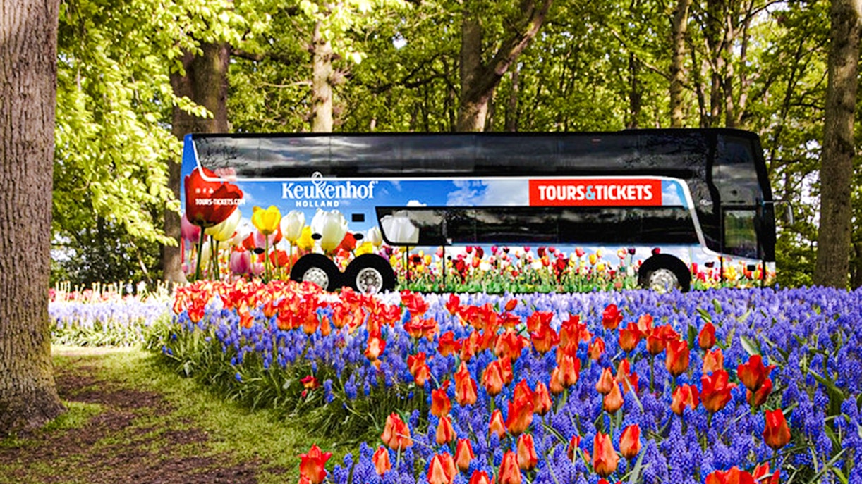 AC coach amidst tulip fields for roundtrip transfers to Keukenhof Gardens.