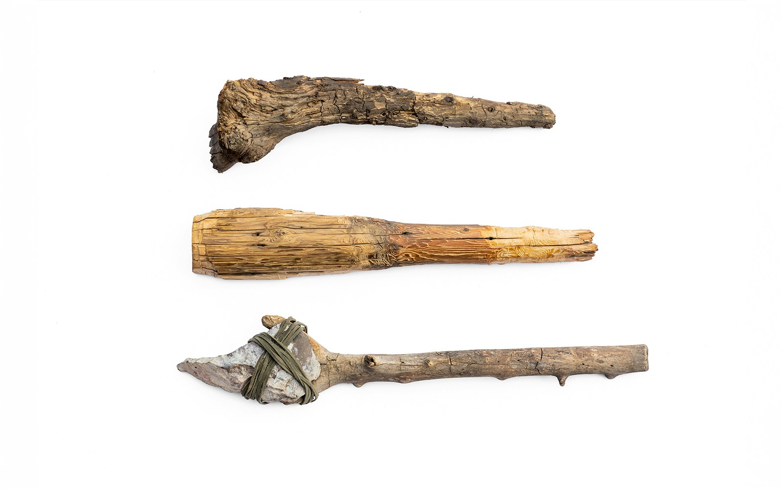 Ancient wooden clubs from the Stone Age are displayed on a white background.