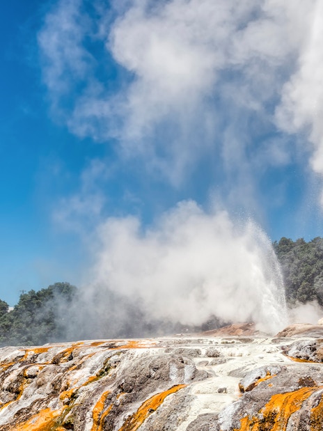 Geyser eruption at Te Puia cultural site, Rotorua, with geothermal activity, small group tour from Auckland.